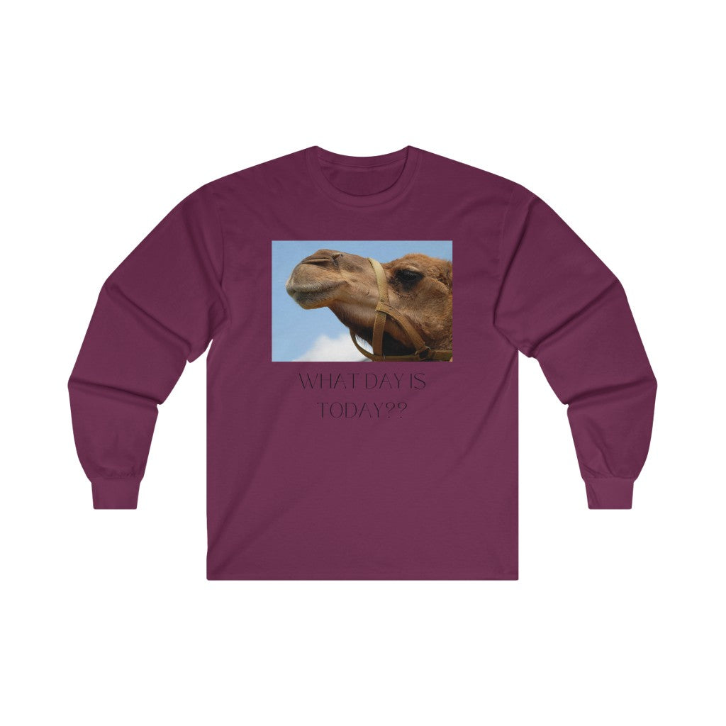 What Day is Today? - Ultra Cotton Long Sleeve Tee