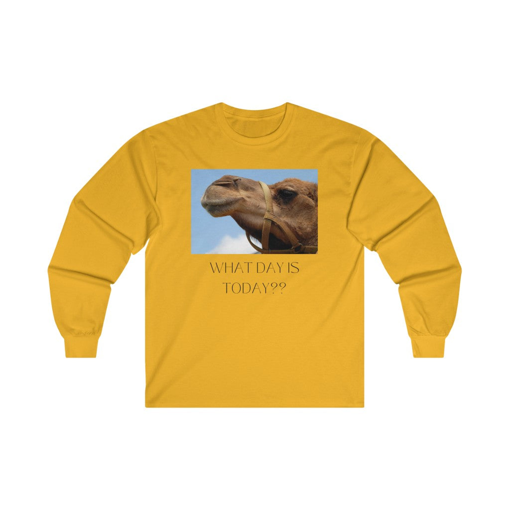 What Day is Today? - Ultra Cotton Long Sleeve Tee